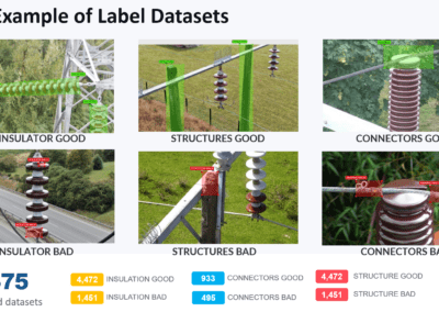 12. Data Label Set Examples